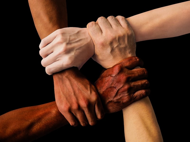 Diversity and Unity